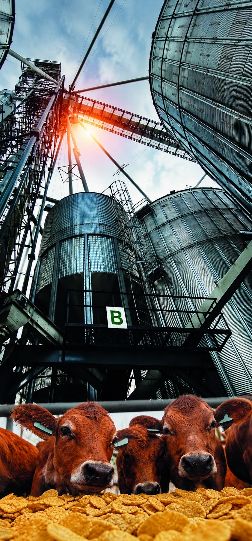 Grain silos and production facility